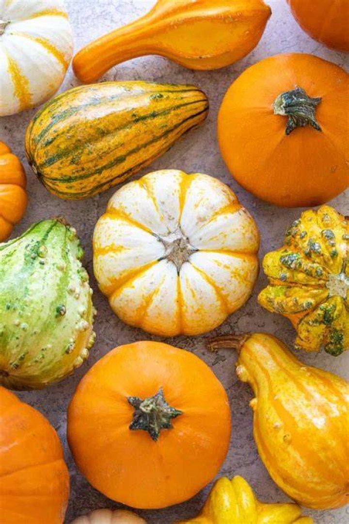 Are bumpy pumpkins edible?