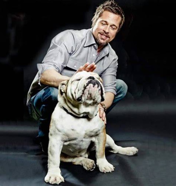 Brad Pitt Pets