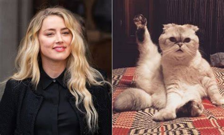 Cat has a net worth of $12 million, while Patrick has a net worth of $8 million
