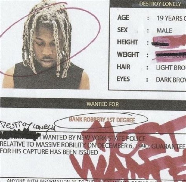 Destroy Lonely Mugshot
