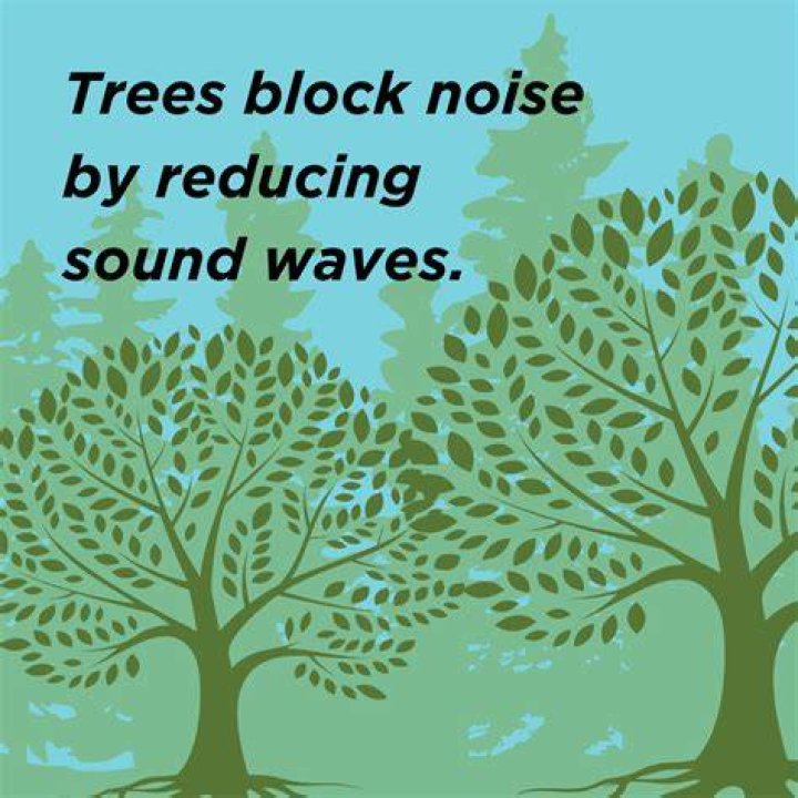 Do trees block sound?