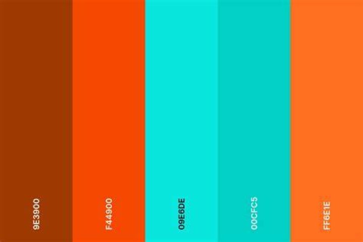 Does Orange go with teal?