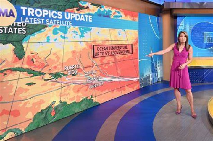Ginger Zee