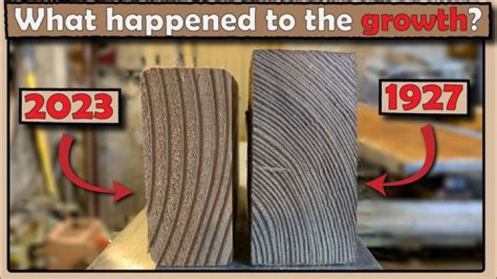 How much does a 2x4x8 pine stud weight?