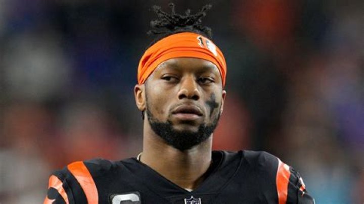 Joe Mixon's pet No Pets (Joe Mixon)