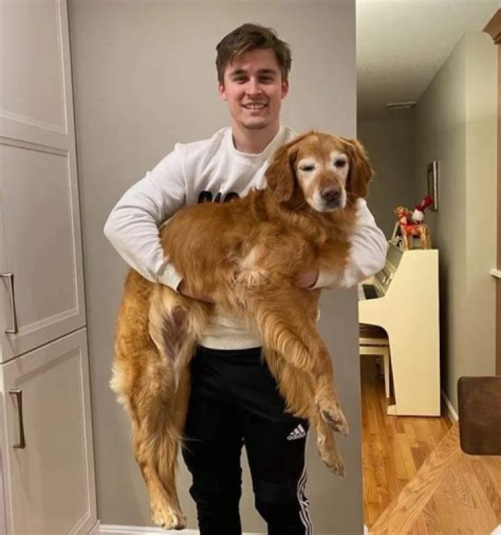 Ludwig Ahgren Pets