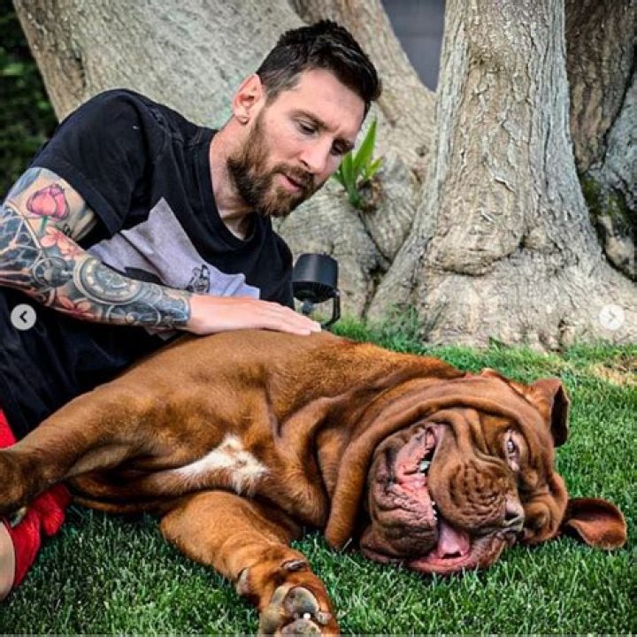 Messi Dog