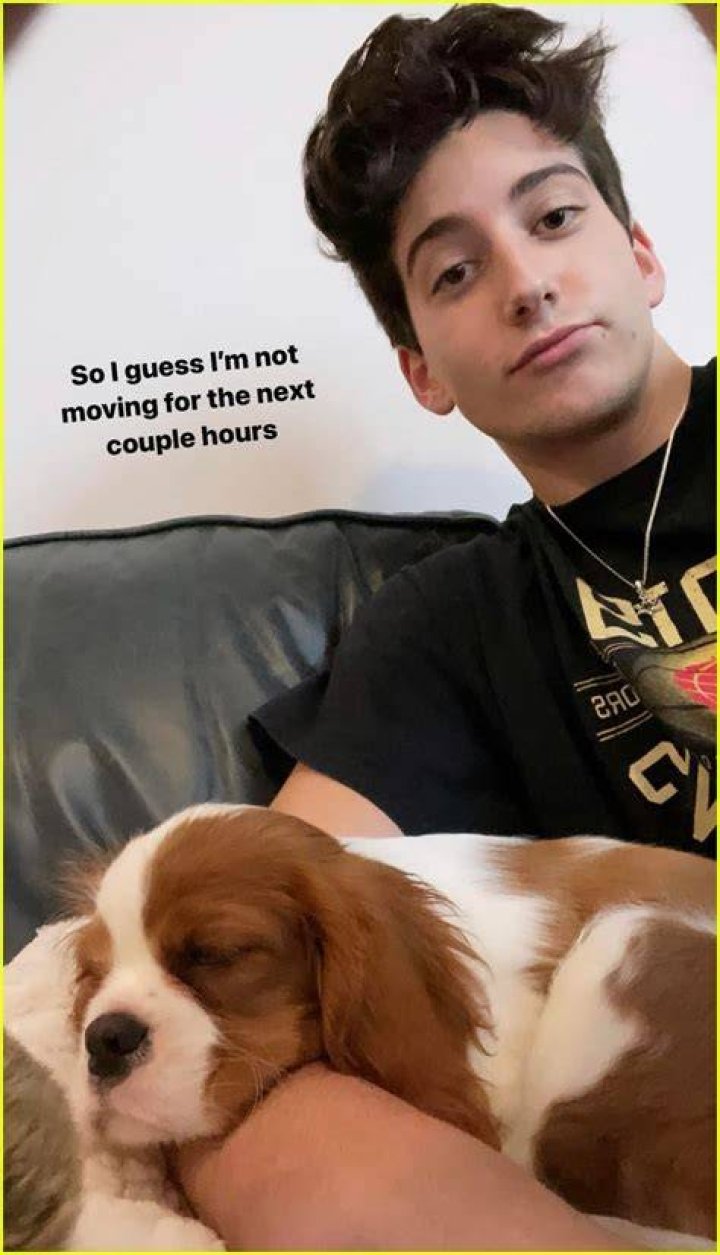 Milo Manheim Pets