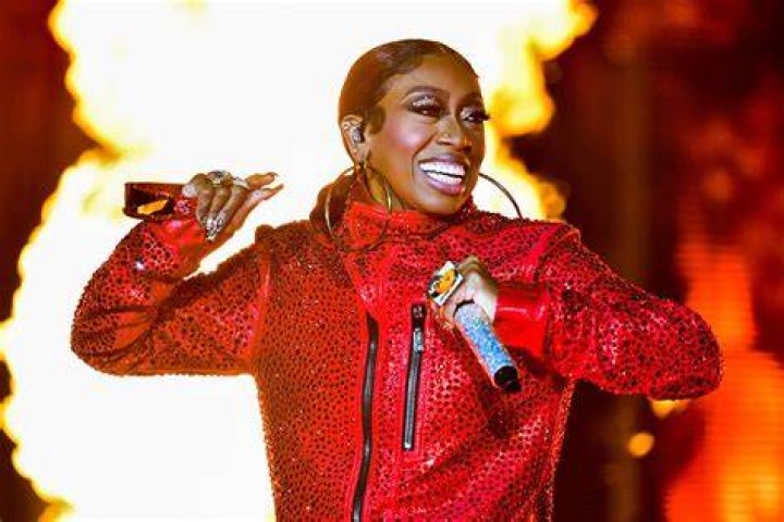 Missy Elliott's pet Hoodie