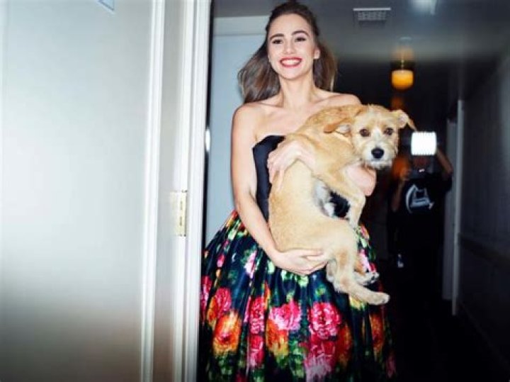 Suki Waterhouse Pets