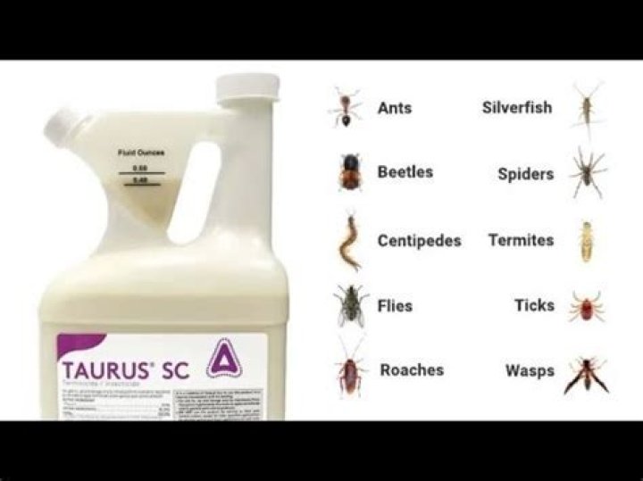 What insects does Taurus SC kill?