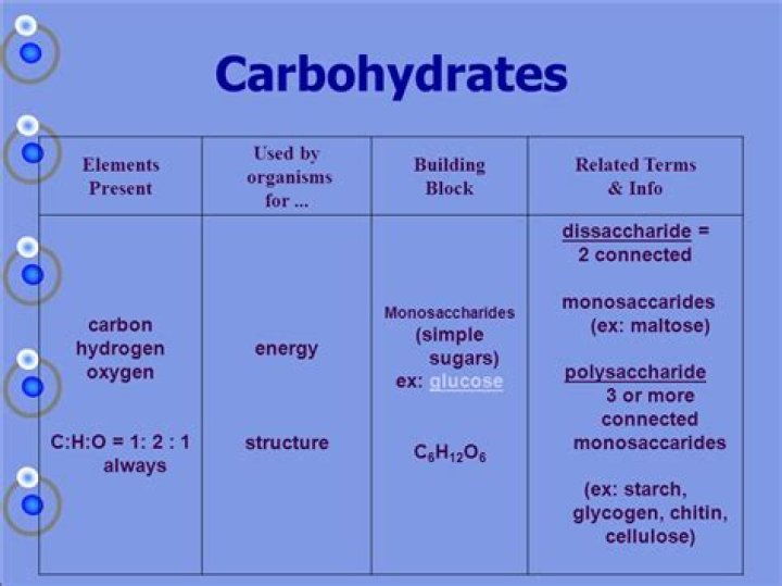 Which elements do carbohydrates contain?